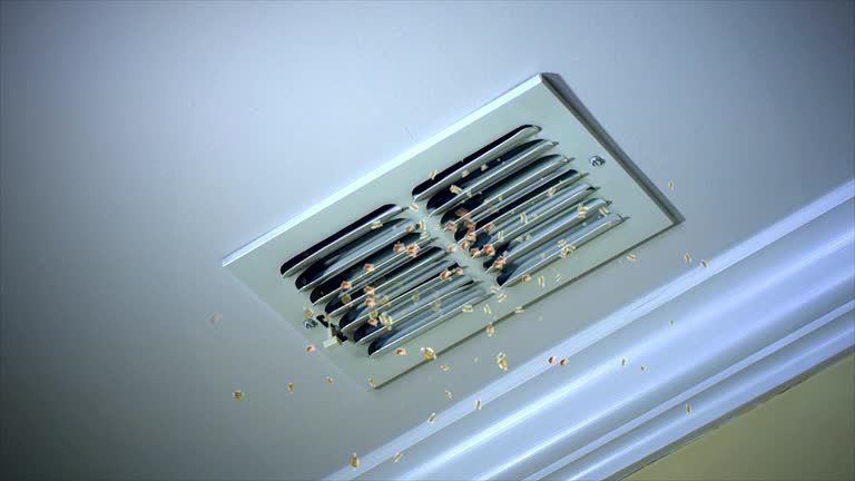 Best Professional Duct Cleaning Services  in Palm Springs, CA